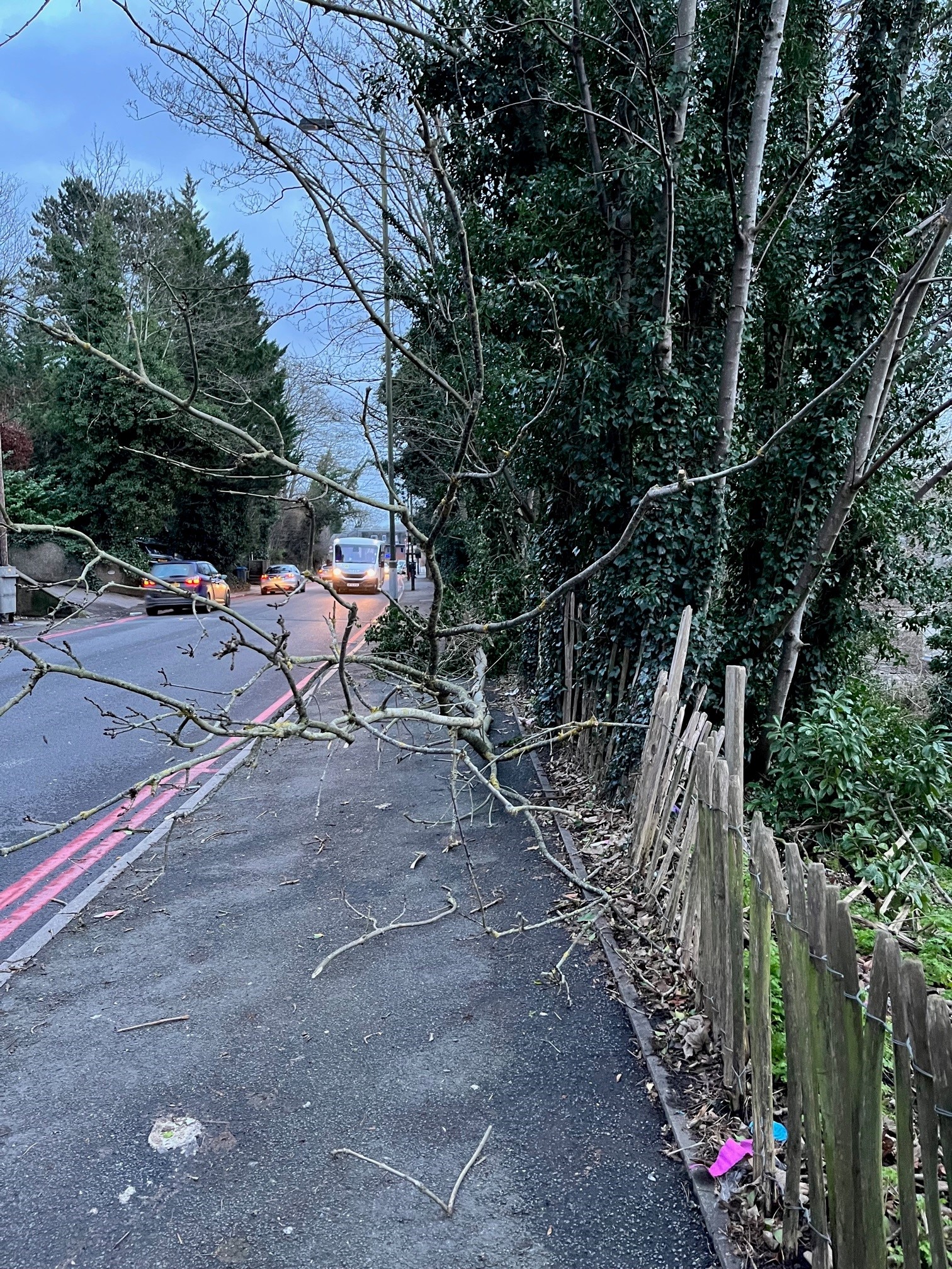 Image of fallen tree on the Godstone Road