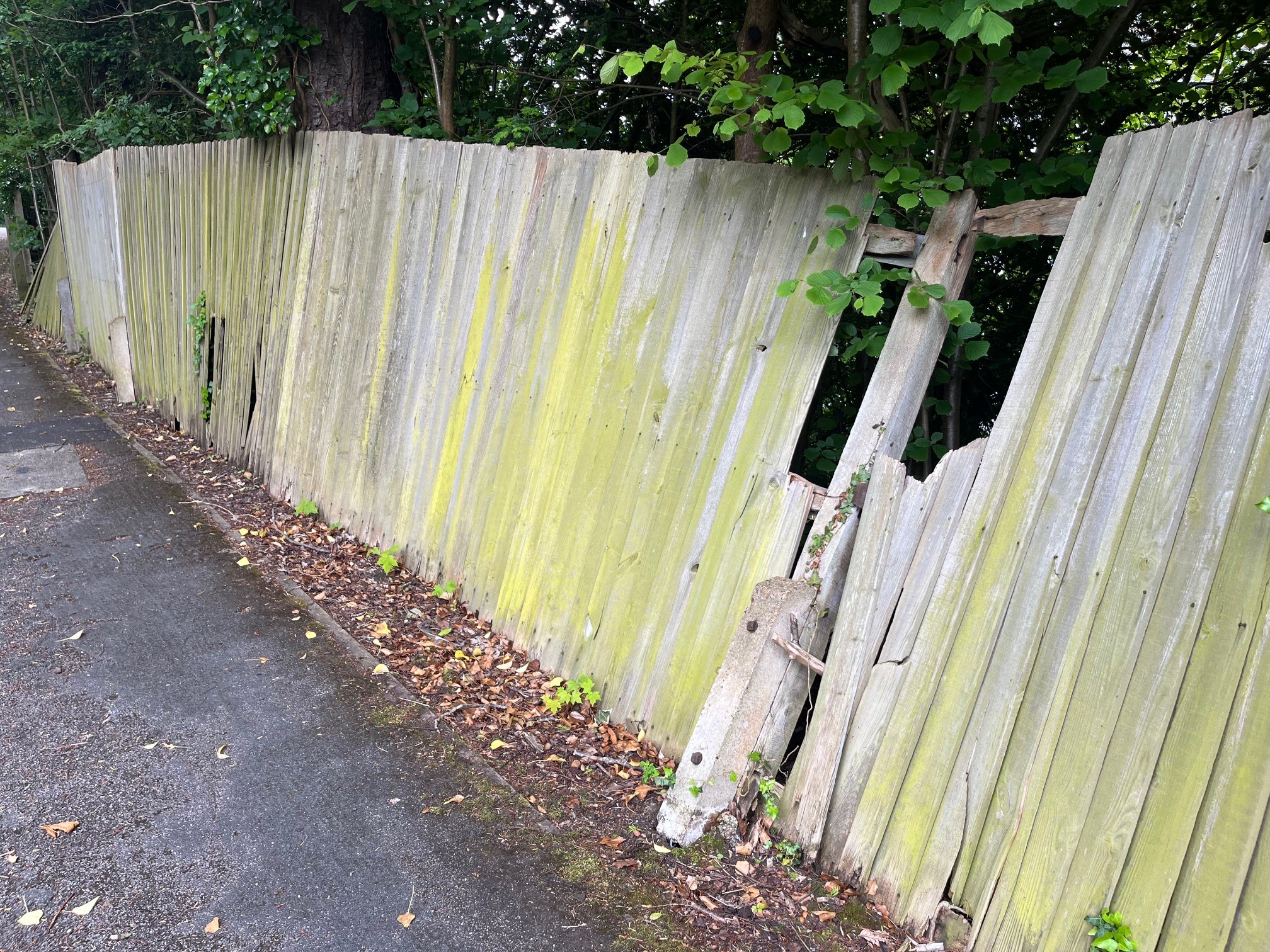 Dilapidated fencing on Hermitage Road