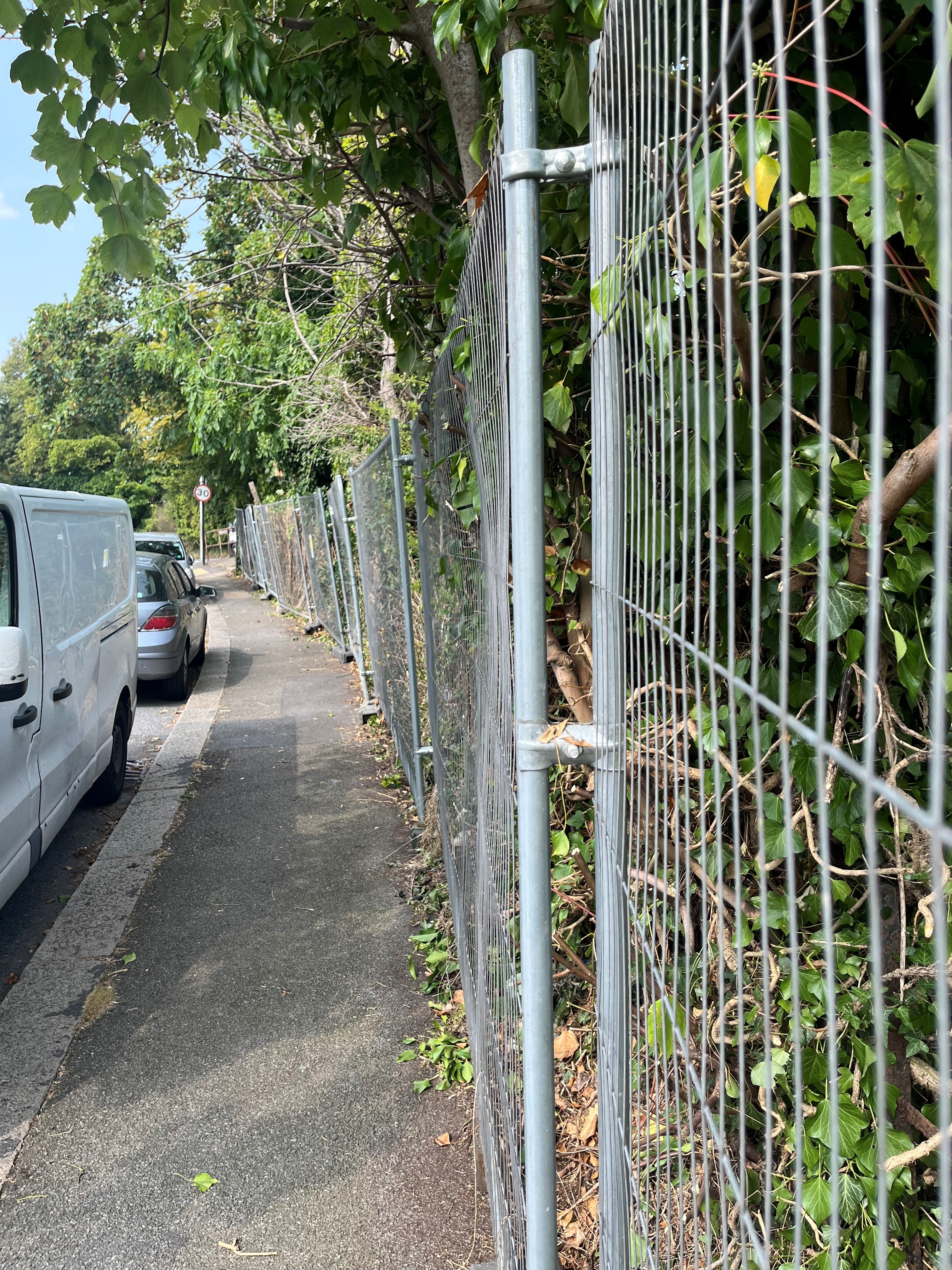 Vegetation tied back and fence secured