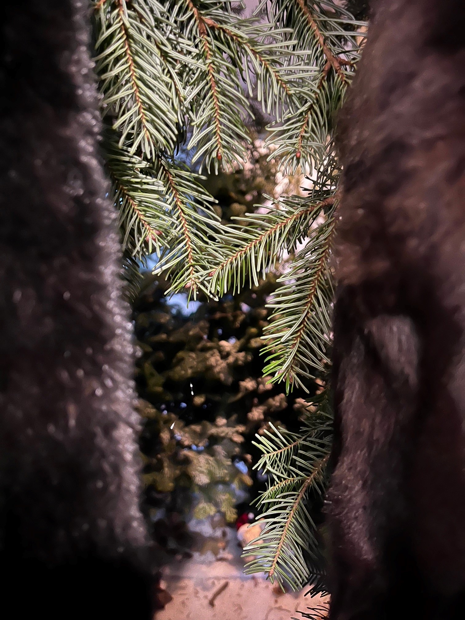 looking through to the grotto