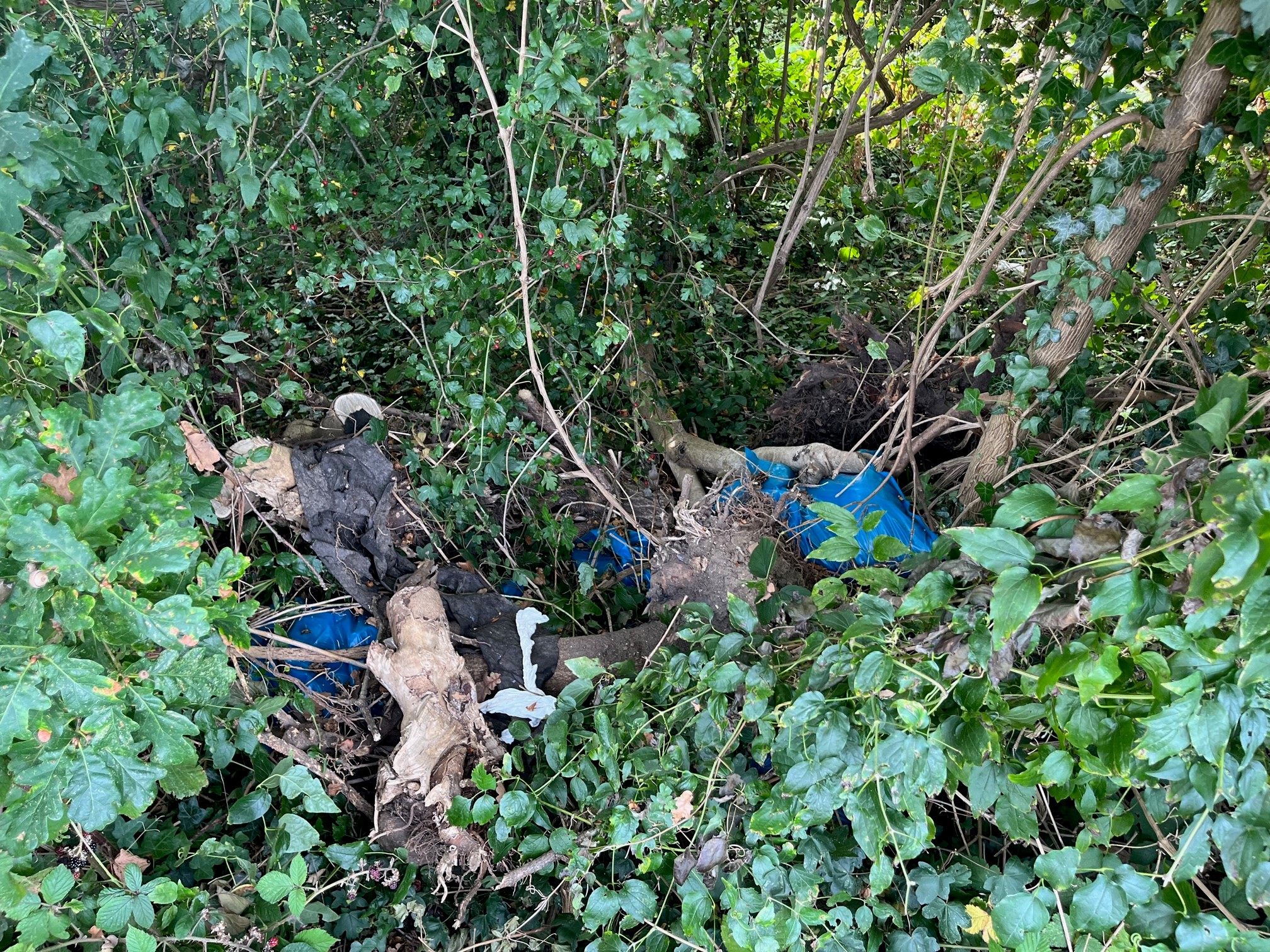 rubbish at Higher Drive rec