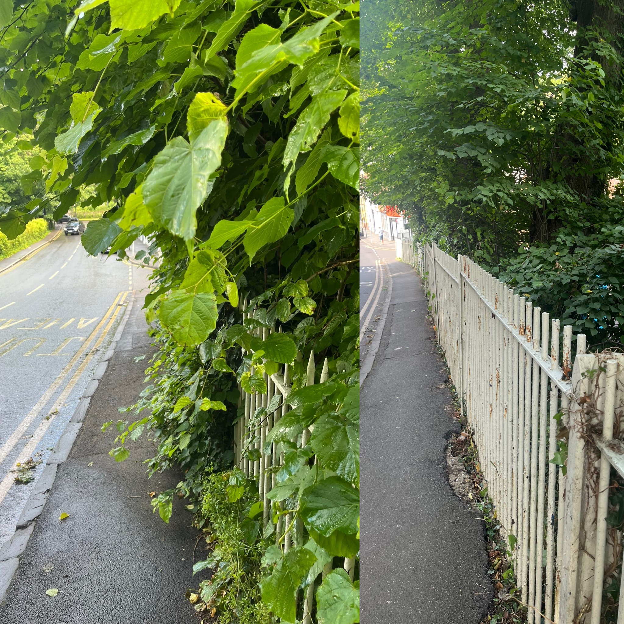 Before and after cut on Hayes Lane bridge