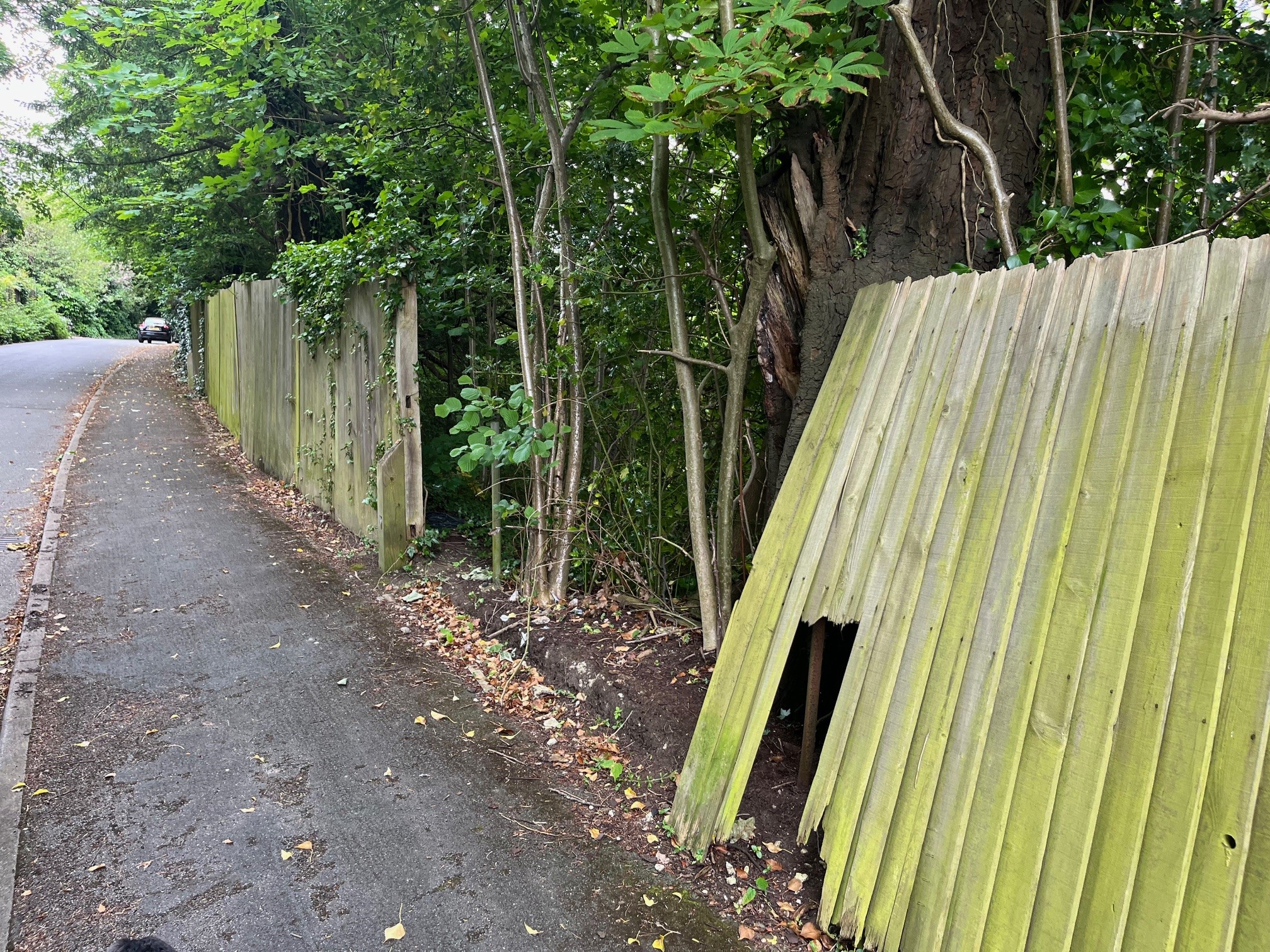 Dilapidated fencing on Hermitage Road