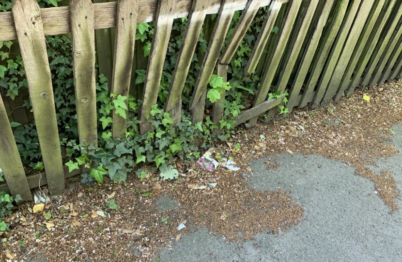 Sanderstead Road Fence