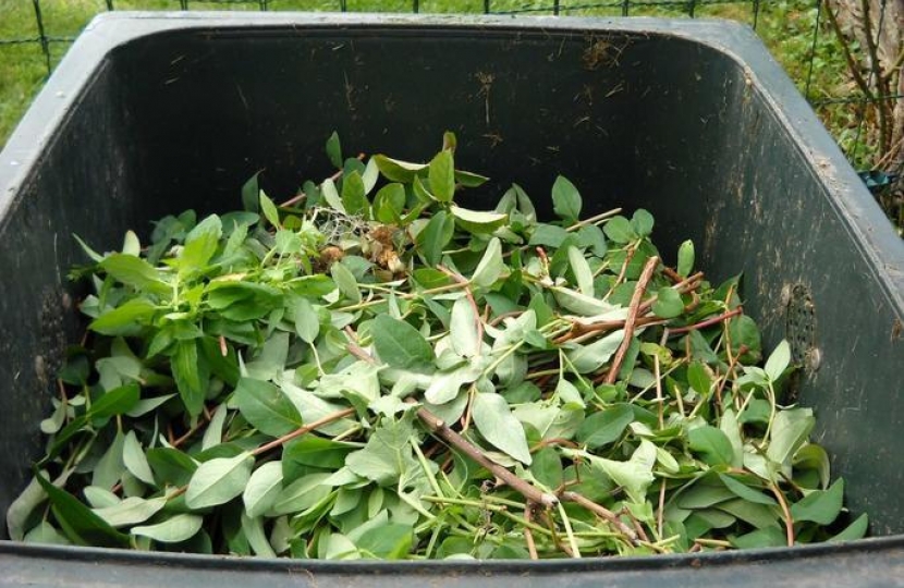 Green garden waste