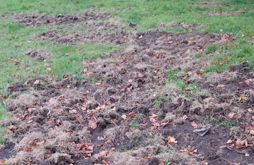 Chewed up grass on Shepherds Way site