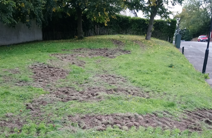 Damaged grass on Shepherds Way green space