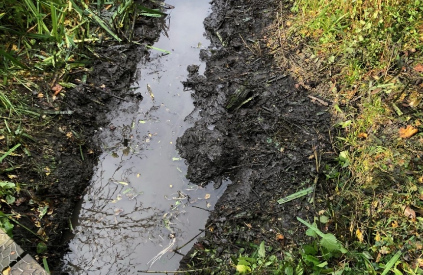 Hamsey Green Pond - Gulley Cleaning