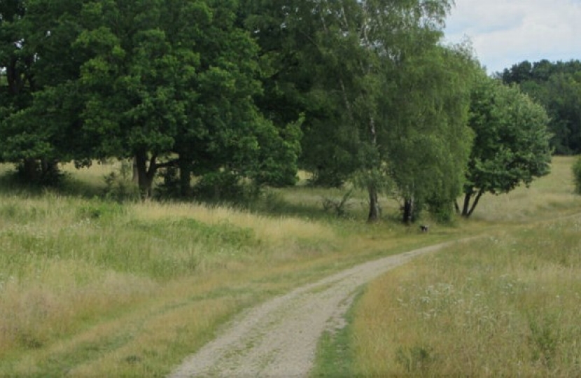 Riddlesdown Common