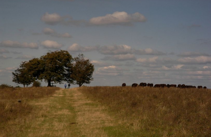 Farthing downs