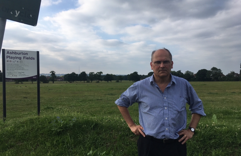 Ashburton playing fields