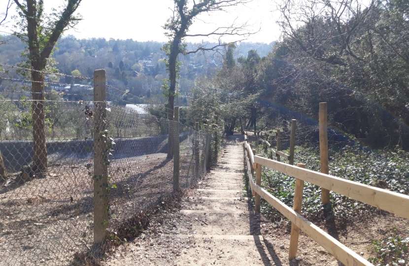 Riddlesdown Path from Common to Tunnel