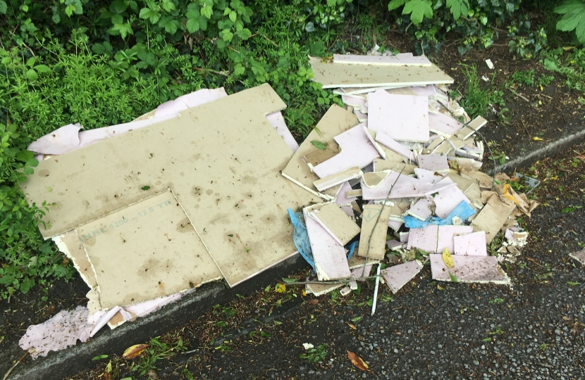 Flytipping on Bankside edge of Croham Hurst Woods