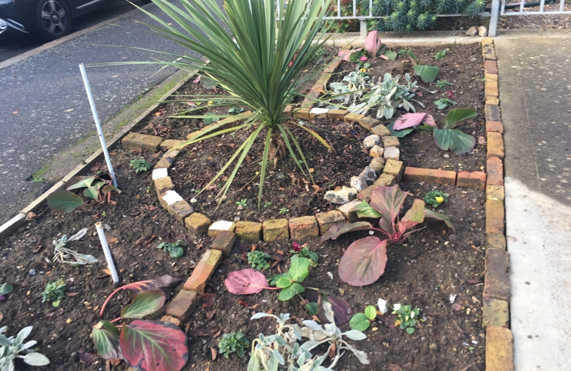 Plants at St Augustines Church gardens