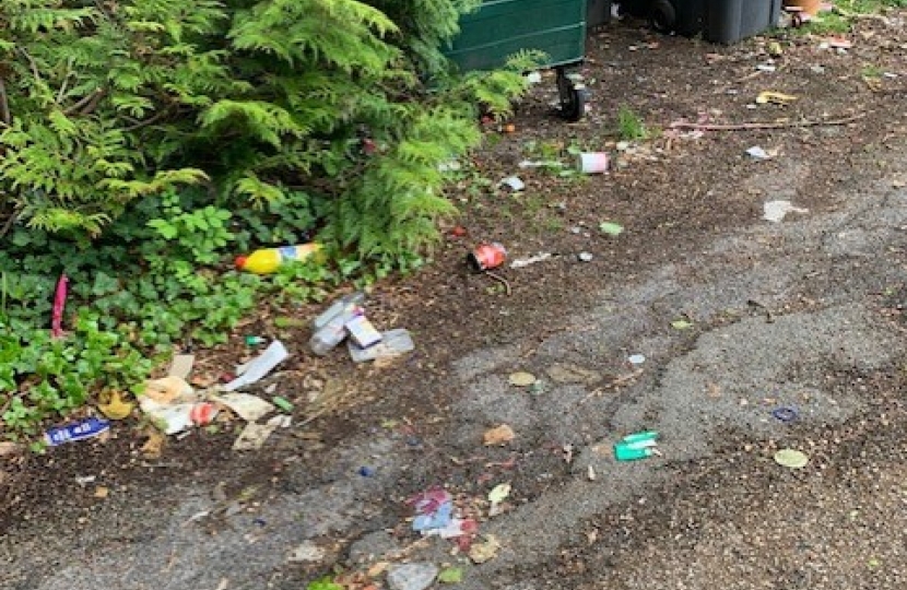 Red Gables - Overflowing Bins