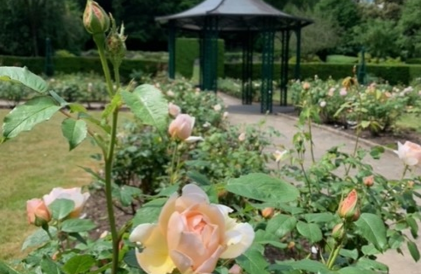 Wettern Tree Rose Garden