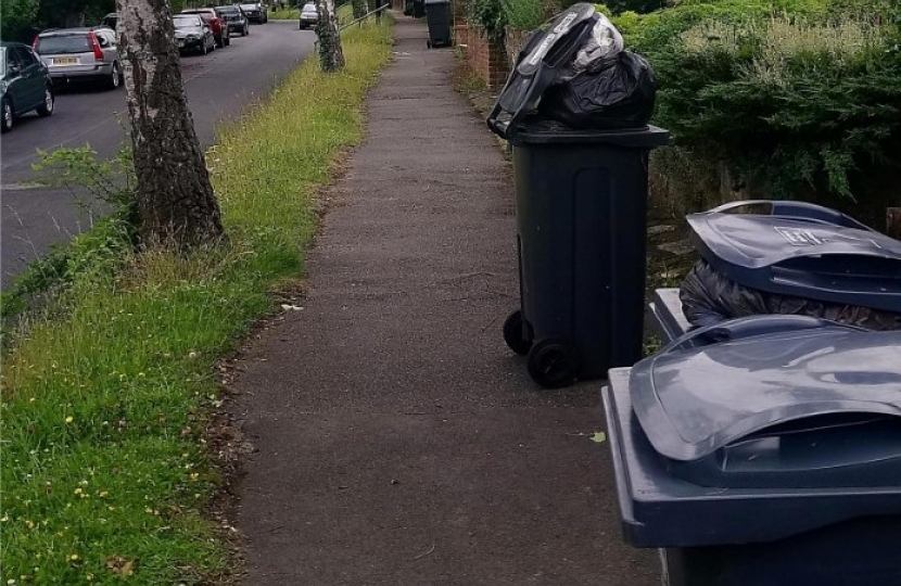 Riddlesdown Avenue Bins