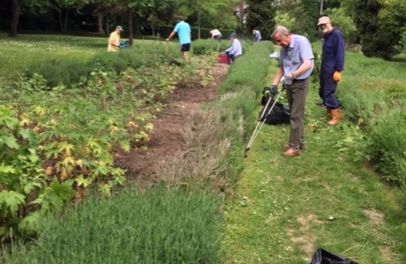 Working on the Delphinium Border