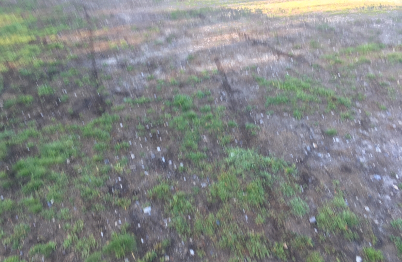 Motor bikes tyre marks on top of Croham Hurst woods