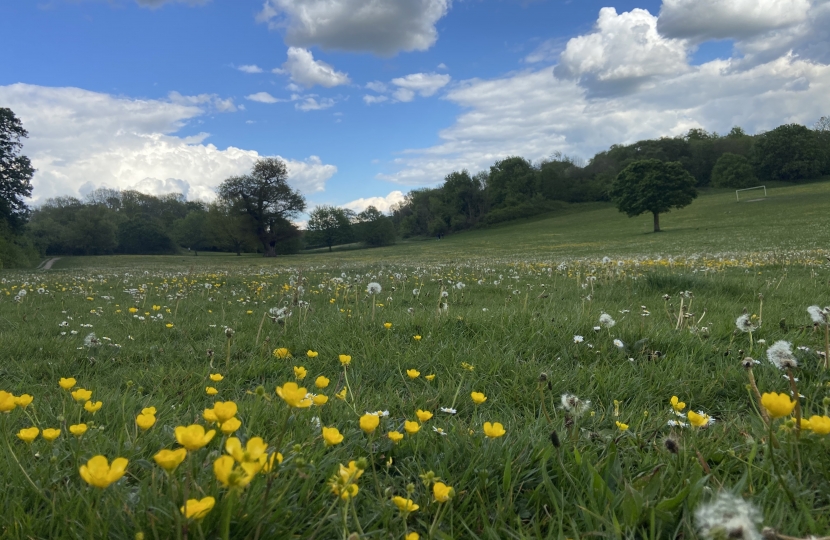 Lloyd Park summer