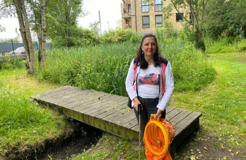 Hamsey Green Pond Litter Pick