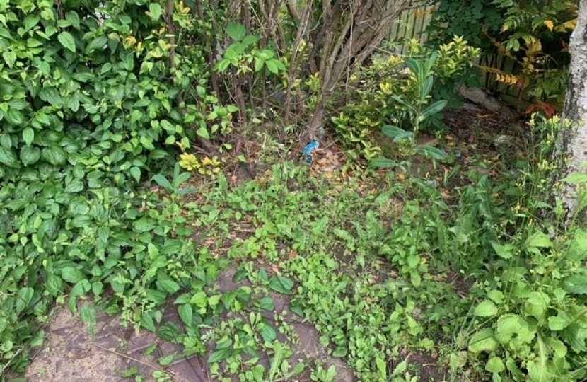 Community Recycling Centre - disused site overgrown with weeds