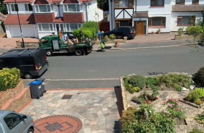 Tarmac Filled Tree Pits