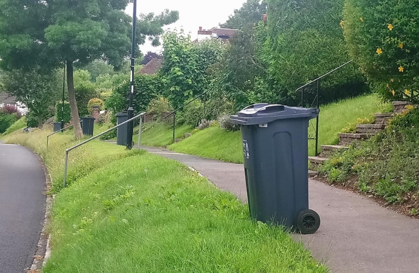 Bins Riddlesdown Avenue