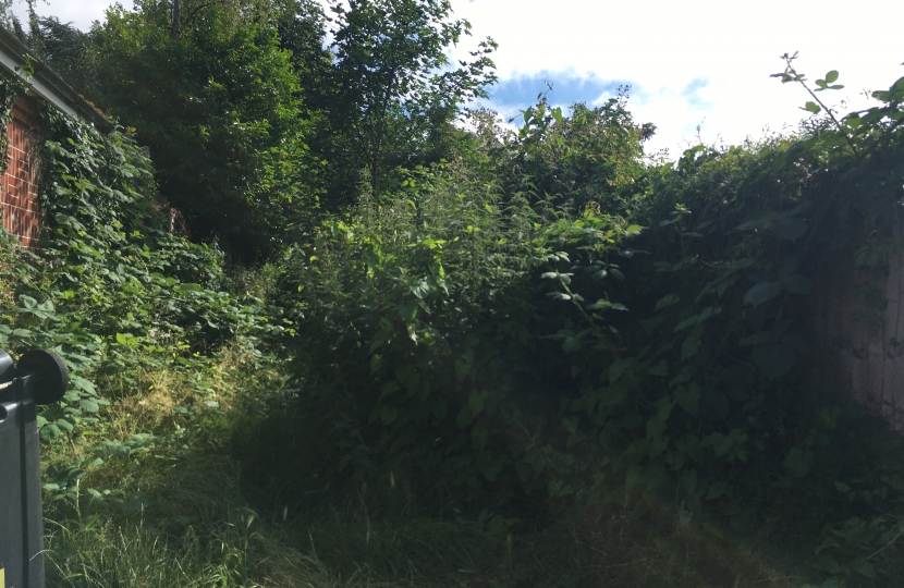 Public bridleway Old Fox Footpath Essenden rd 