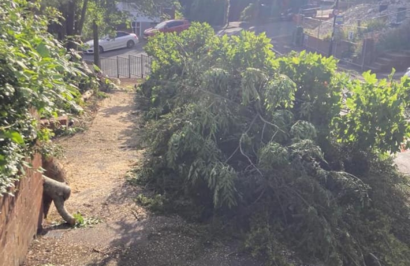 Trees :eft on Pavement outside 89 Hyde Road