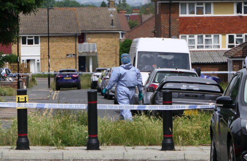 The scene at the Shrublands Estate