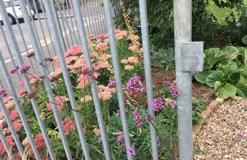 Planting at St Augustines Church gardens