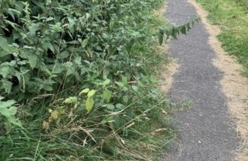 Lime Meadow Avenue - Before