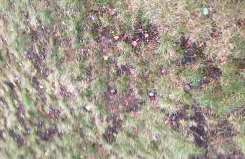 Bike damage on surface on the top of Croham Hurst Woods