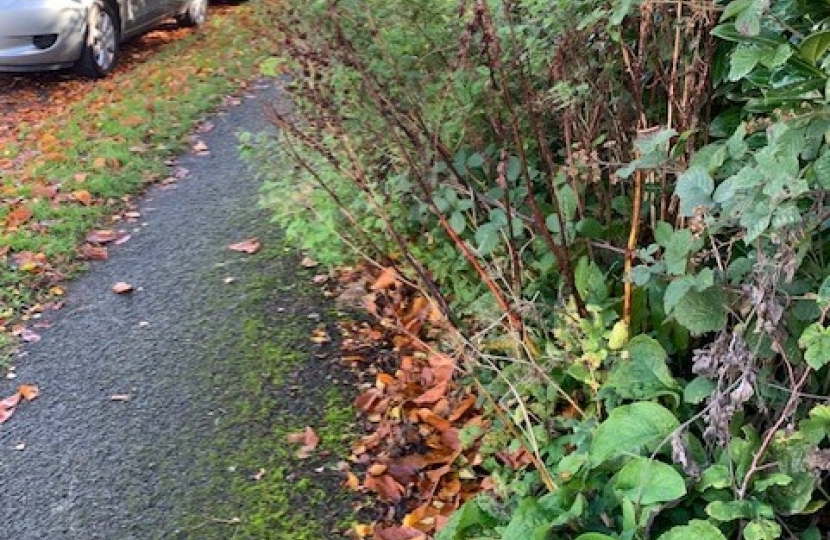 Onslow Gardens Pavement