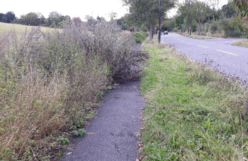 Mitchley Hill - Overgrown