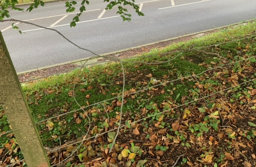 Sanderstead Hill - Broken Fencing