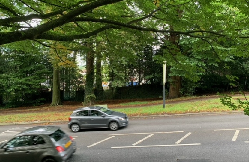 Sanderstead Hill - Overhanging branches