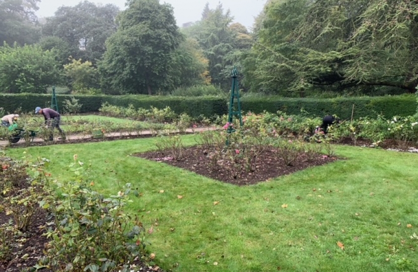 Wettern Tree Garden Beds Cleared