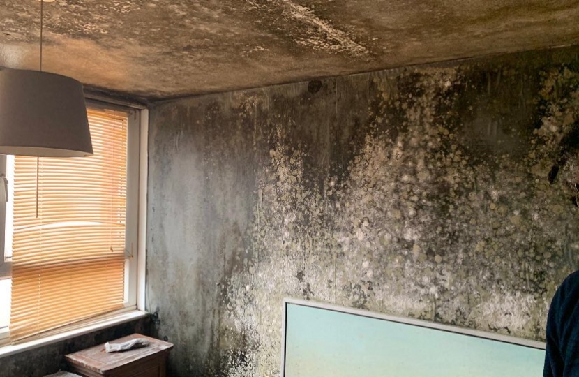 A wall caked in black mould, in a flat on Regina Road