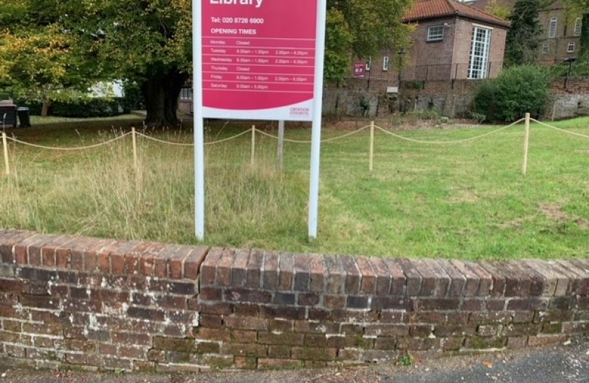 Wildflower Bed - Sanderstead Library