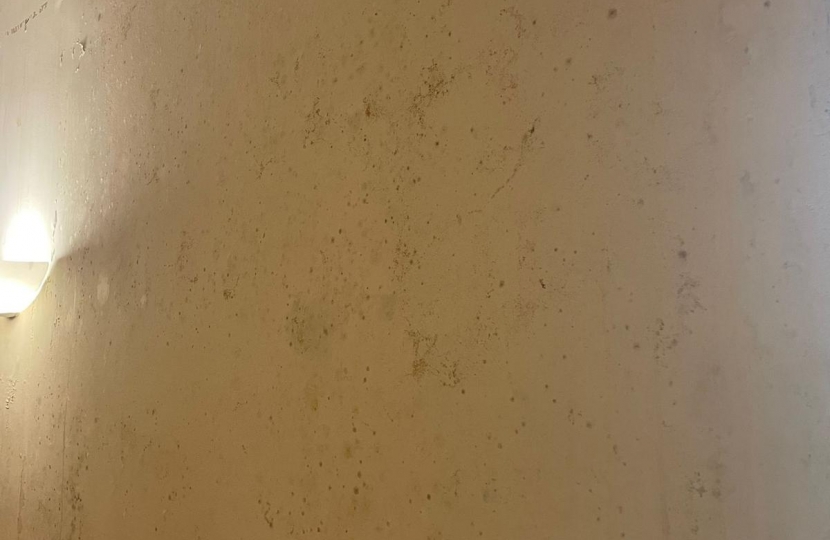 Mouldy, dirty walls