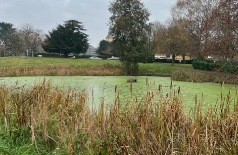 Sanderstead pond