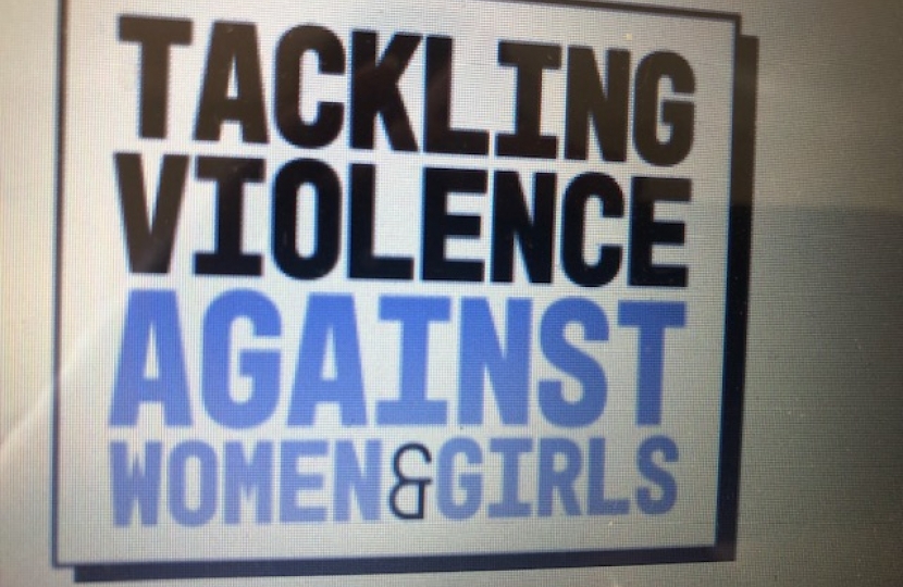 Tackling Violence Against Women & Girls logo