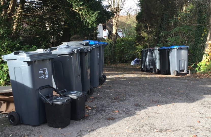 Sanderstead Road Bins