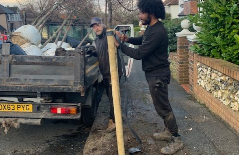 Cherry Tree Planting