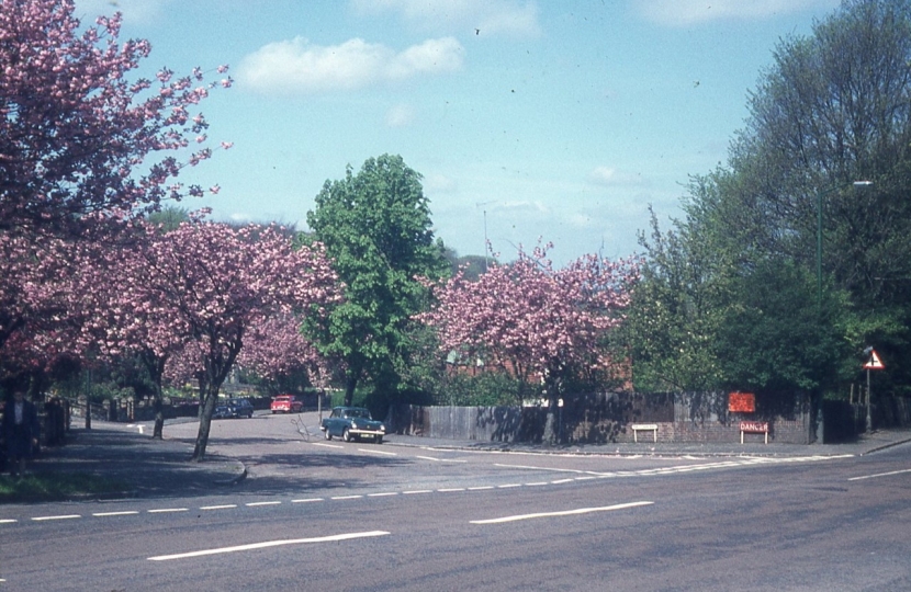 Purley Oaks Road 