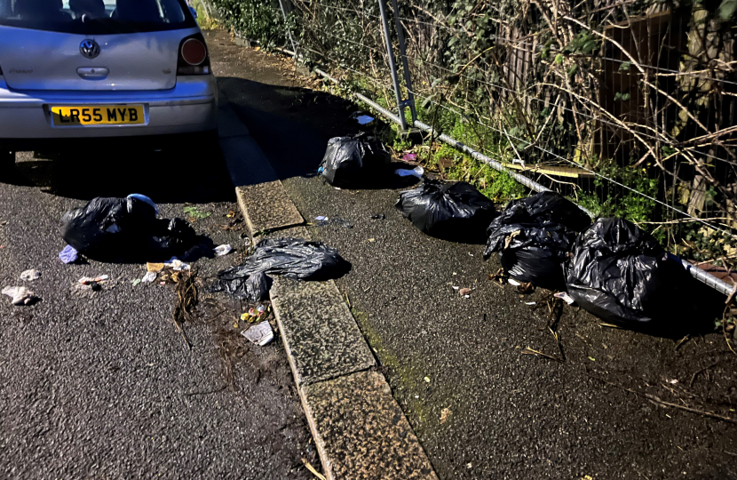 Fly tipping on Lower Road