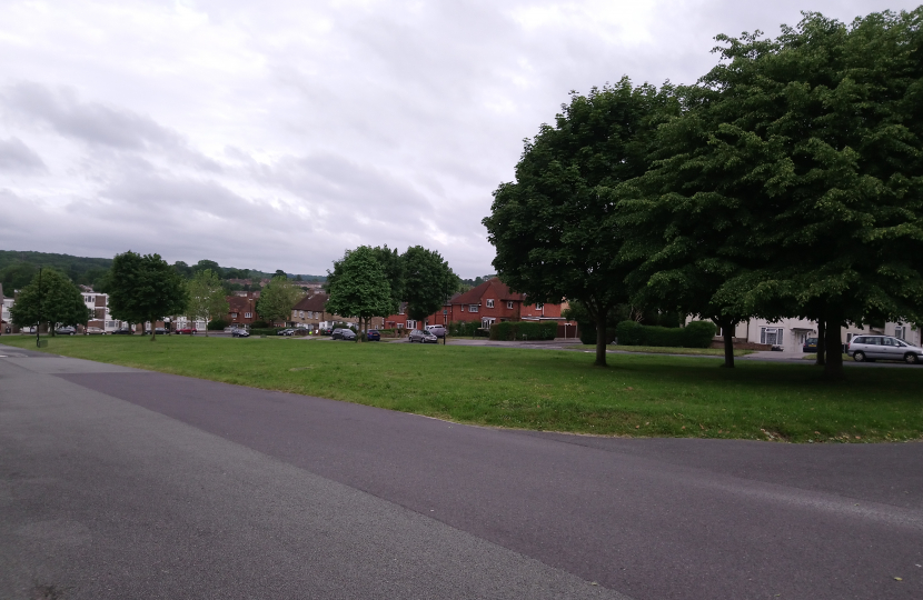 Street view with trees