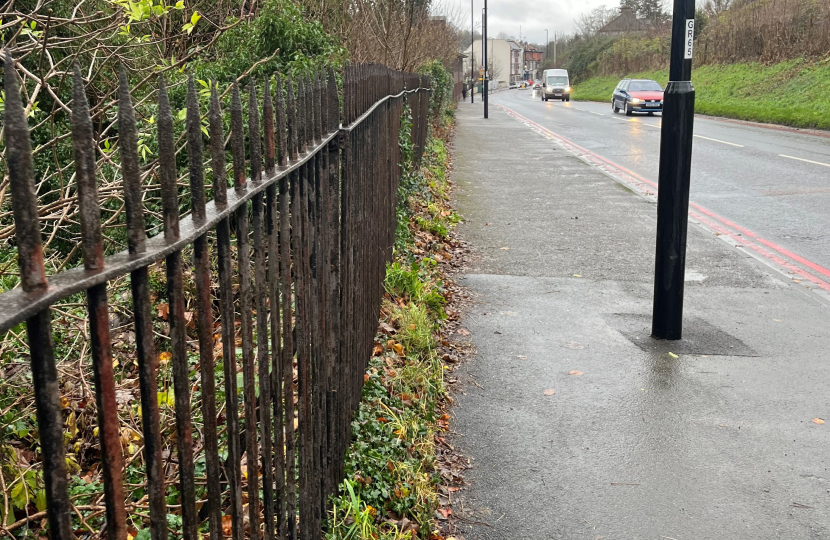 Cleared vegetation on the Godstone Road, Kenley